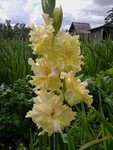 http://forum.ucoz.ru/forum/19-63528-1#imgs